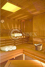 sauny
